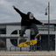 barbuskater